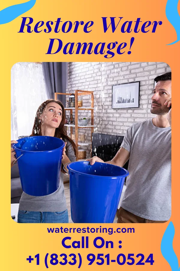 water restoration Platinum Water Damage & Sons Morton