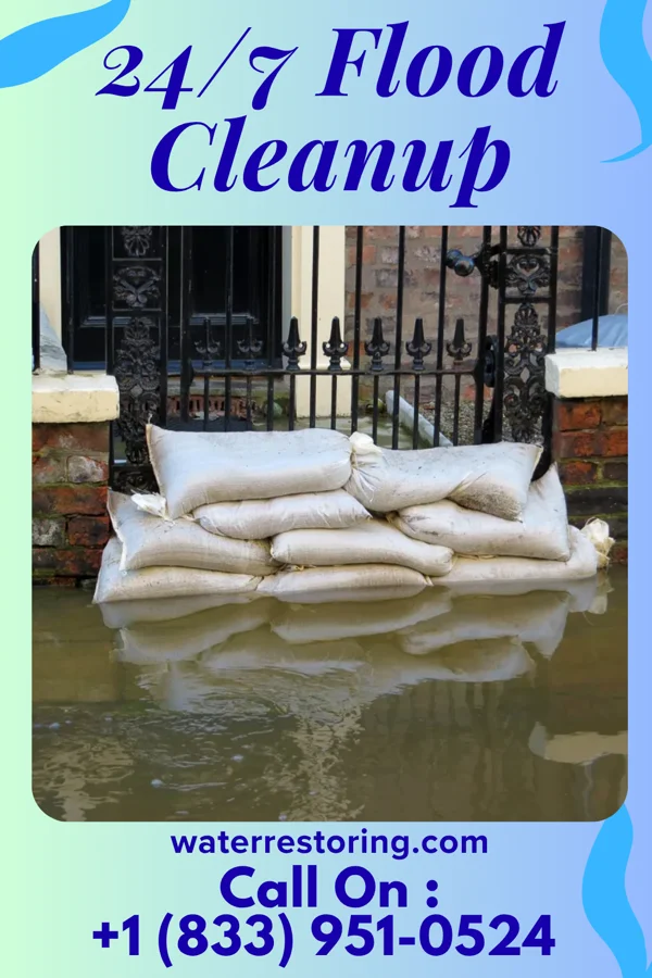 24/7 Flood Cleanup in Morton, MS