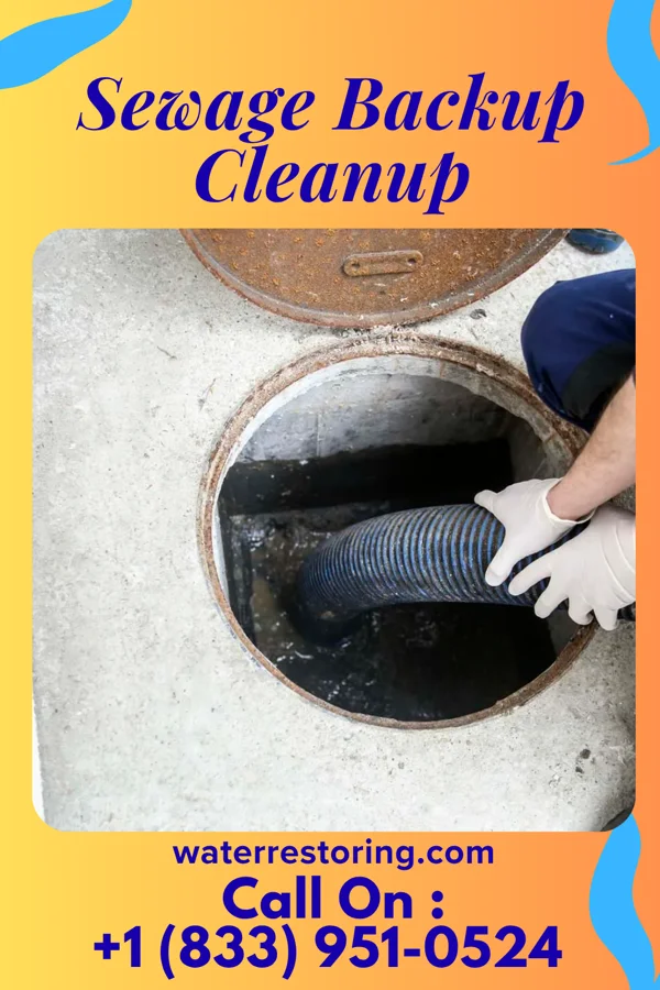 Sewage Backup Cleanup in Morton, MS