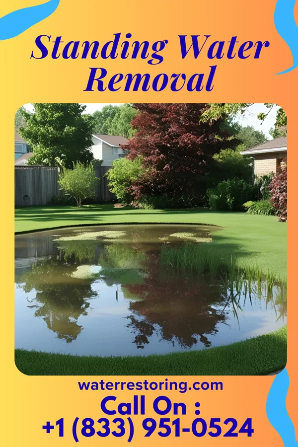Standing Water Removal in Morton, MS
